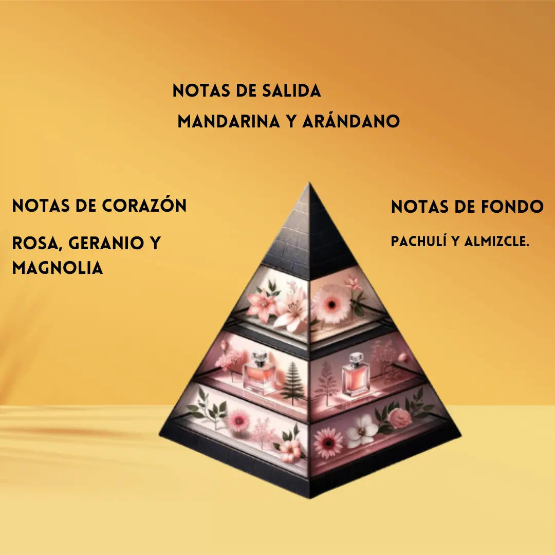 December rose Fraganzi