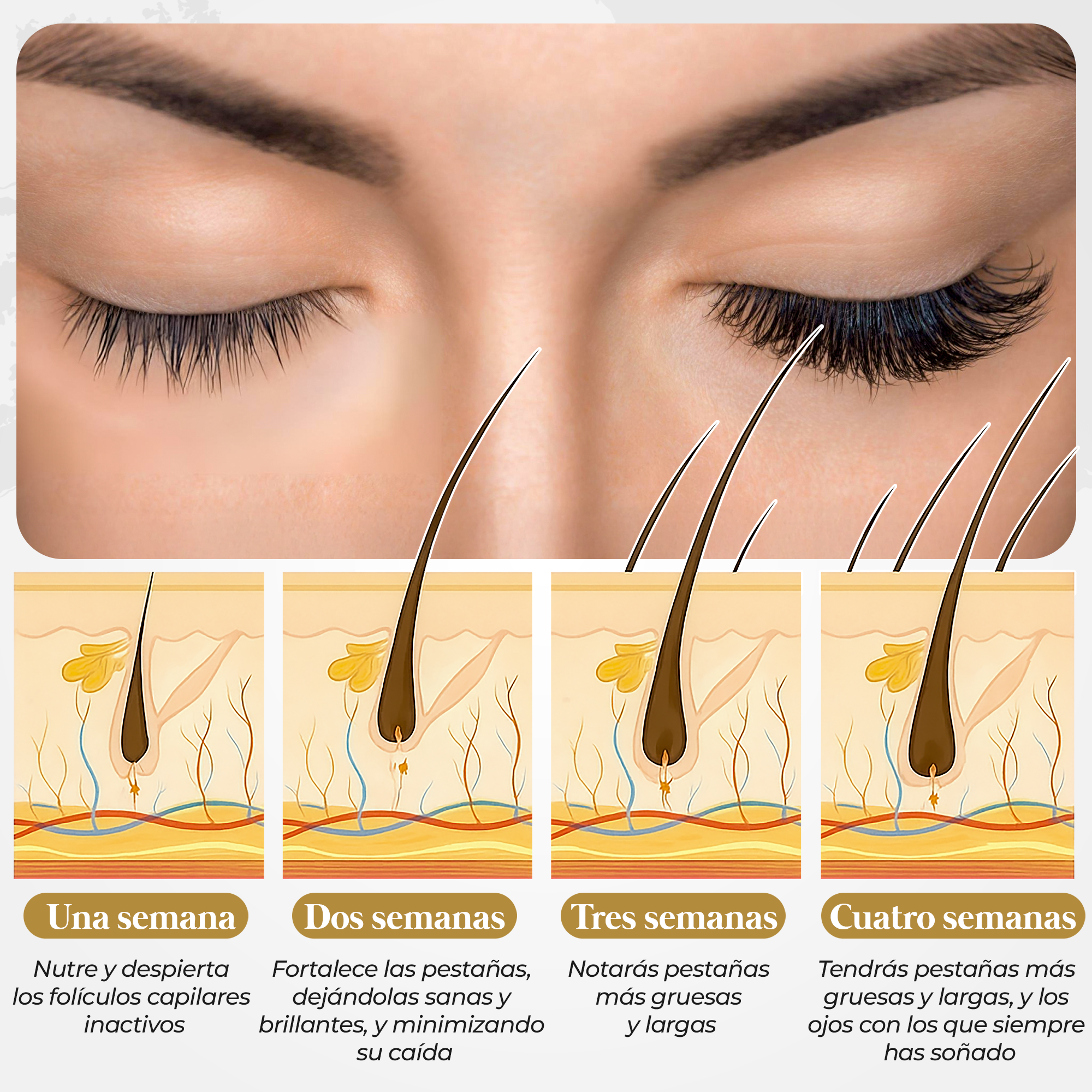 Eyelash Growth Serum | 4-Month Treatment to Naturally Grow and Strengthen Your Look | Without Prostaglandins or Parabens | Eyelash Serum with Meter, Guides, Tracking, and Templates to Improve Your Health