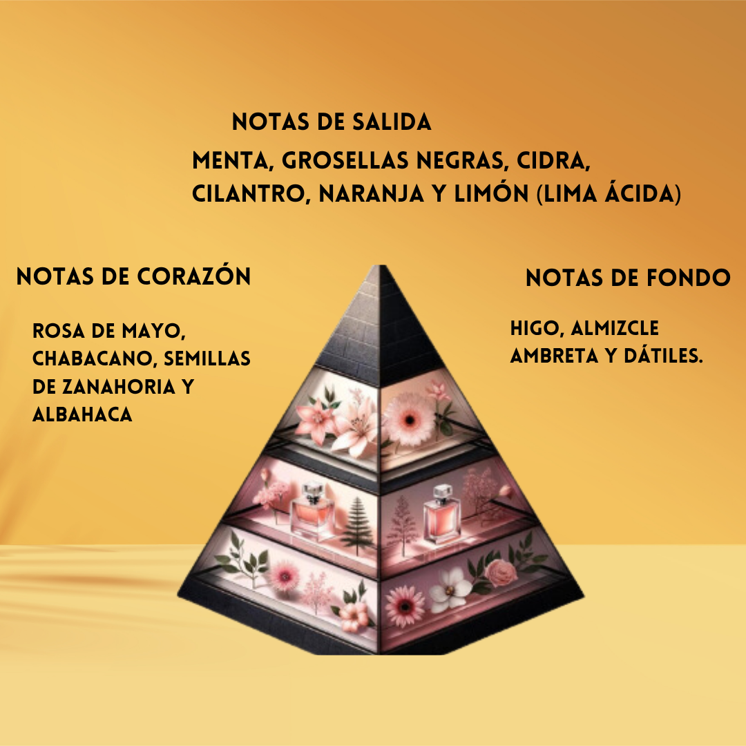 Maison Alhambra Jean Lowe Vibe – Eau de Parfum Unisex - Amaderado & Aromático