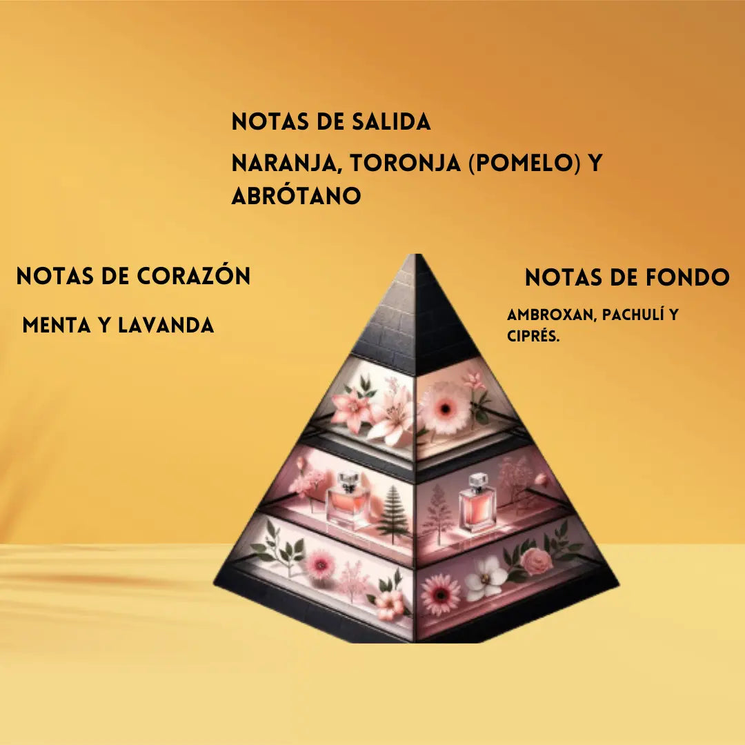 Armaf Odyssey Aqua | Perfume Árabe para Hombre | Frescura Cítrica y Amaderada – Eau de Parfum Armaf