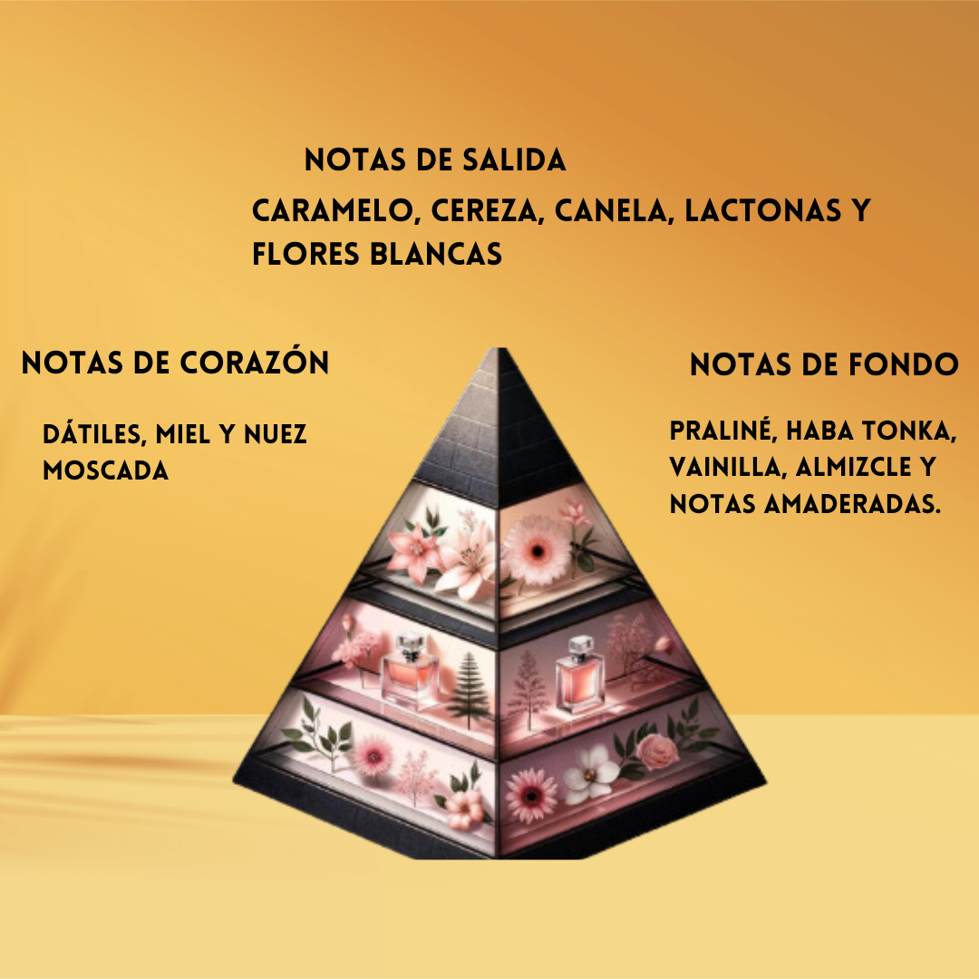 Armaf Odyssey Black Forest – Eau de Parfum Unisex - Oriental & Vainilla