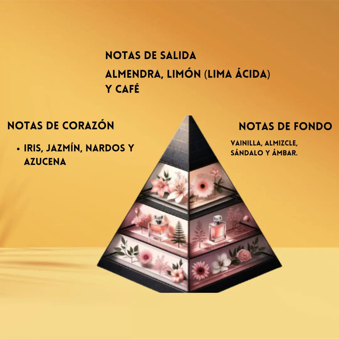 Shaghaf Nafaeis Rasasi