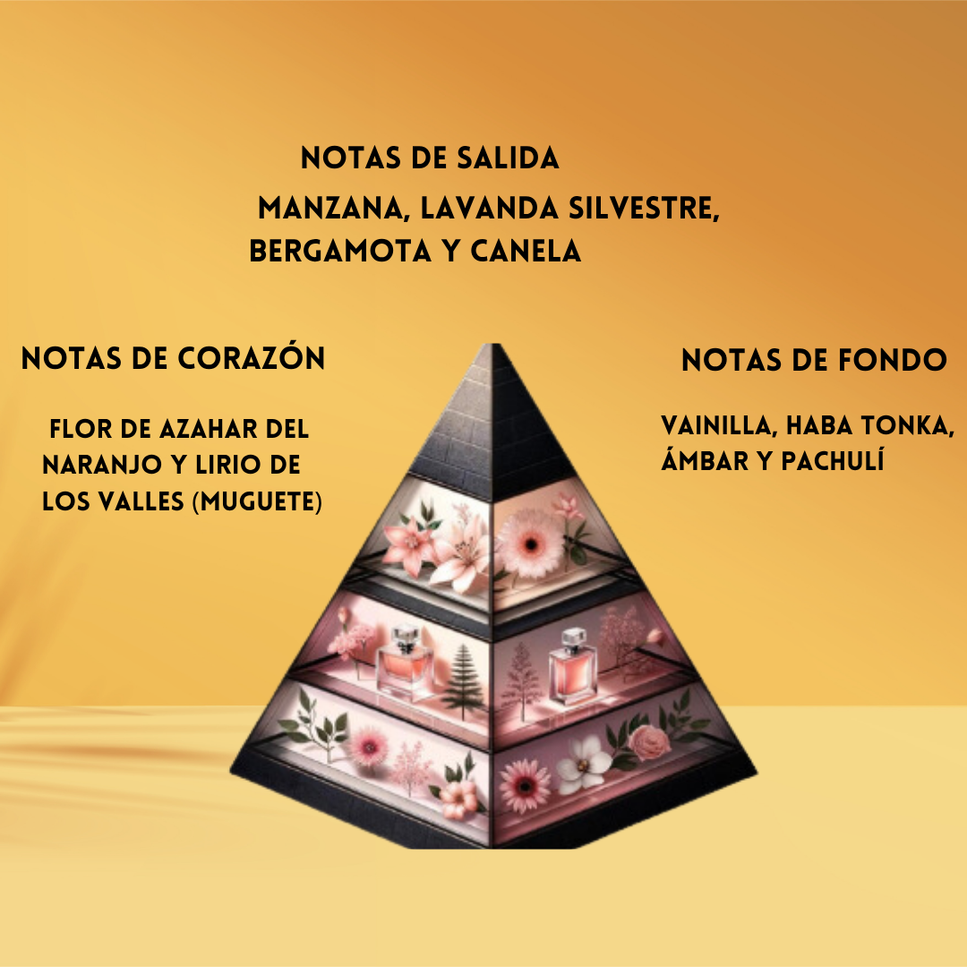 Le Falcóné Qannas – Eau de Parfum Hombre - Aromático & Fougère
