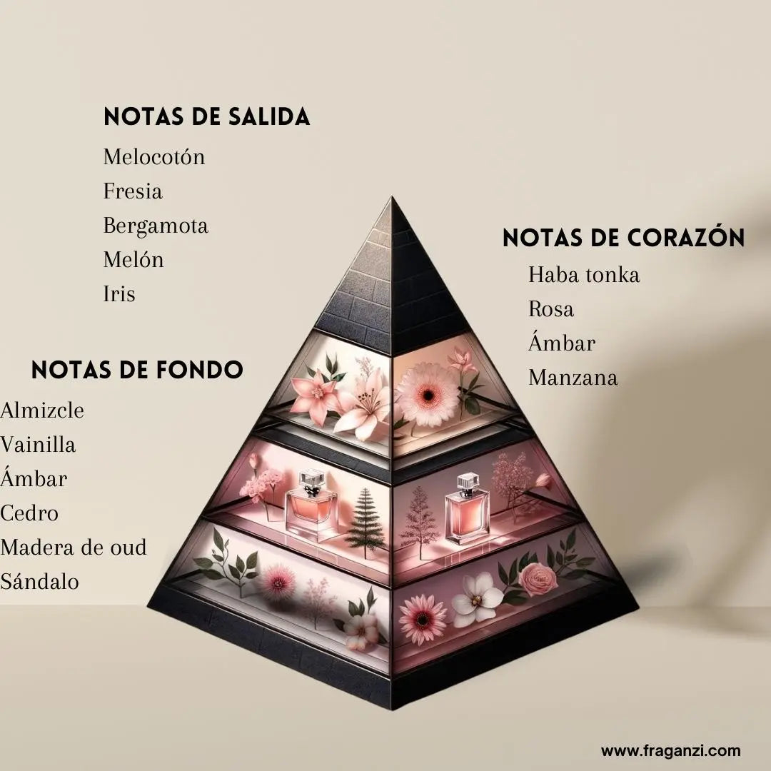 Shaghaf Oud Ahmar Swiss Arabian