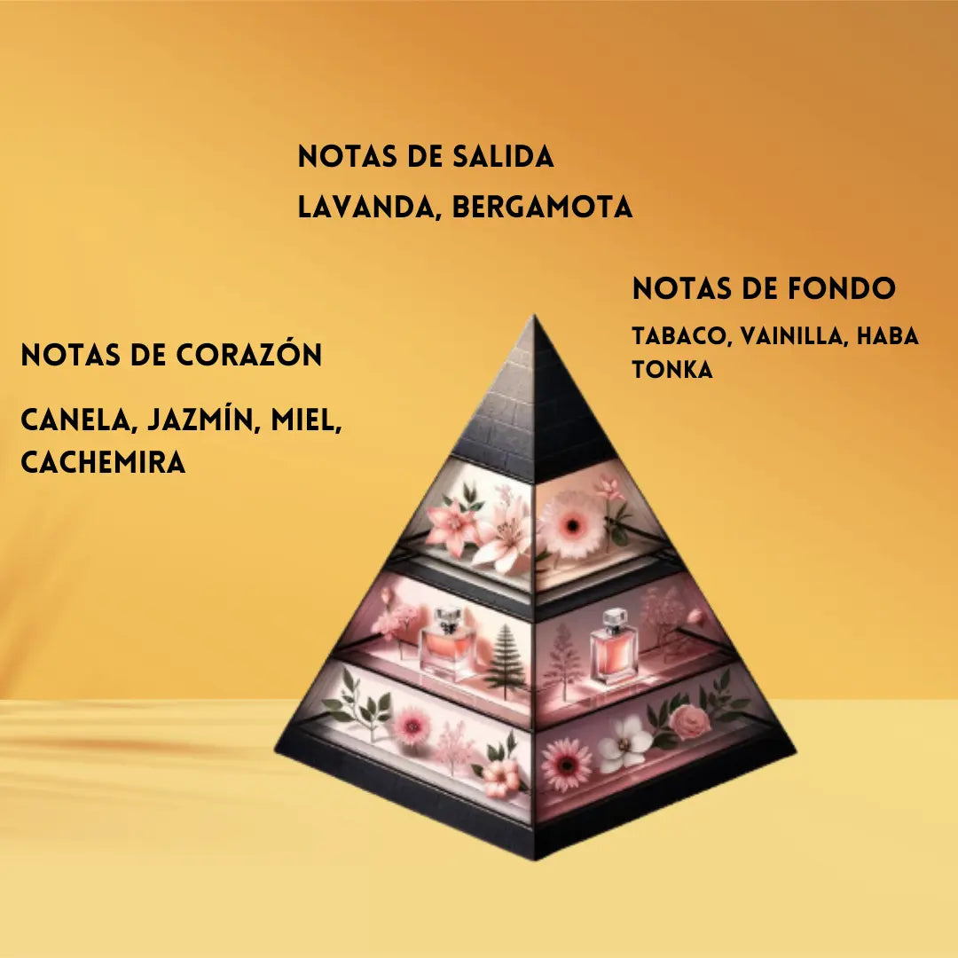 Paris Corner Voux Elegant Paris Corner