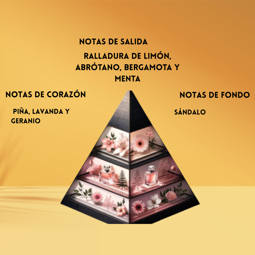 Rayhaan nocturno elixir