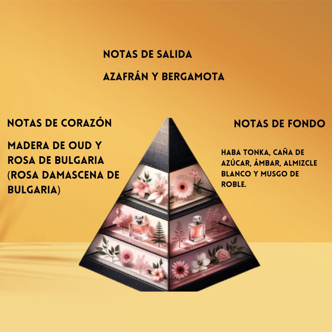 Montale Arabians Tonka – Eau de Parfum Unisex - Oriental & Amaderado