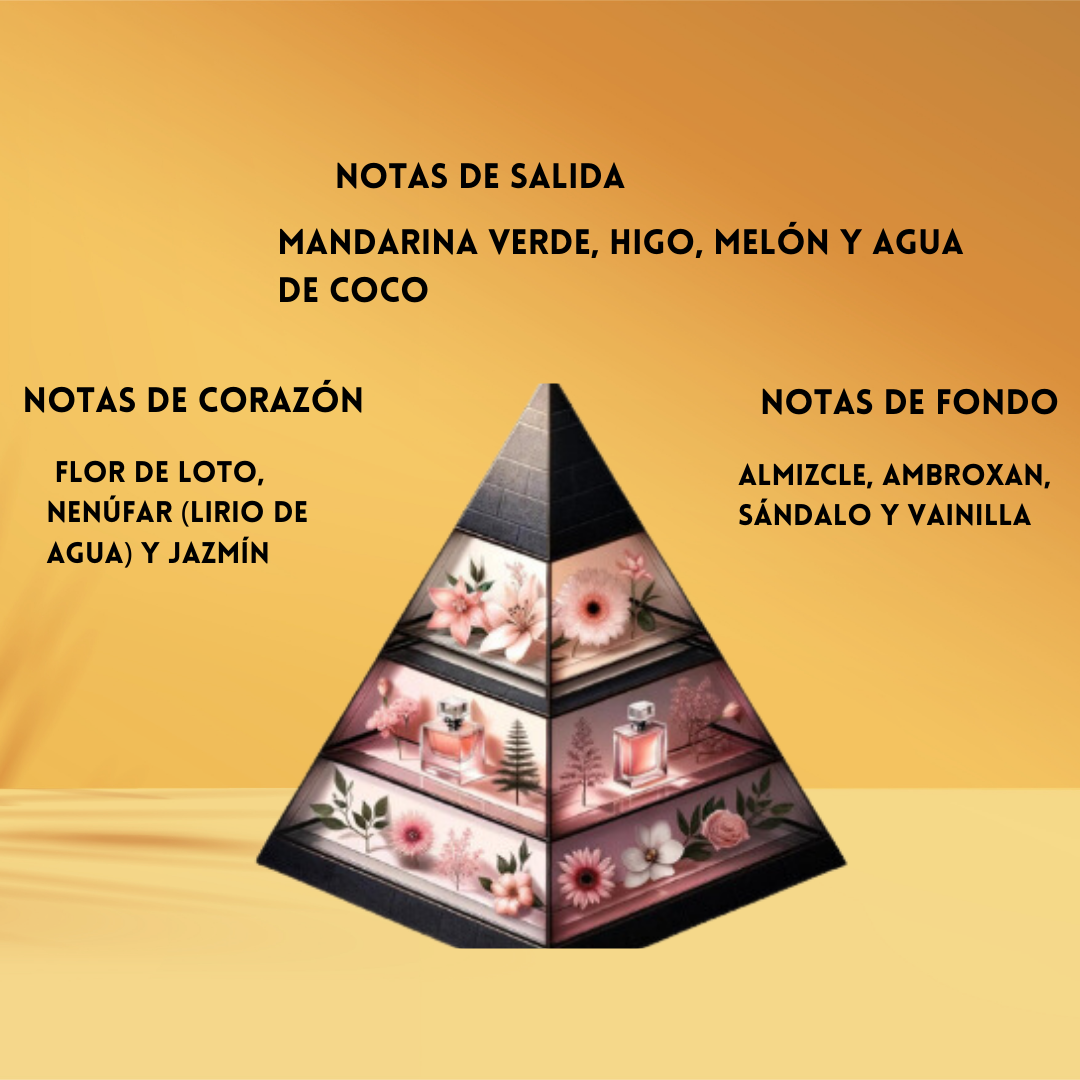 Mayar Natural Intense