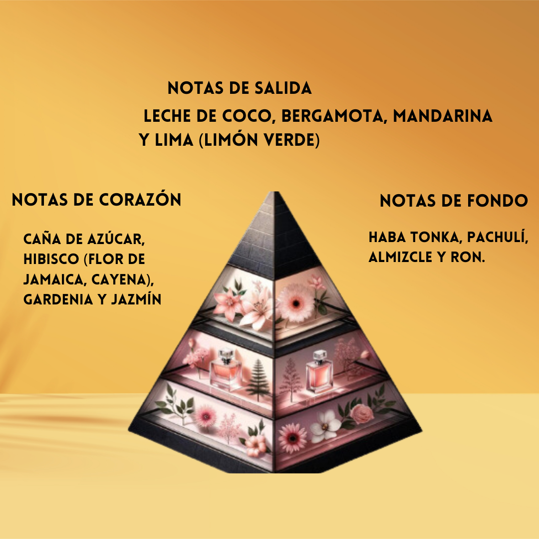 Rayhaan Aquatica – Eau de Parfum Hombre - Cítrico & Gourmand