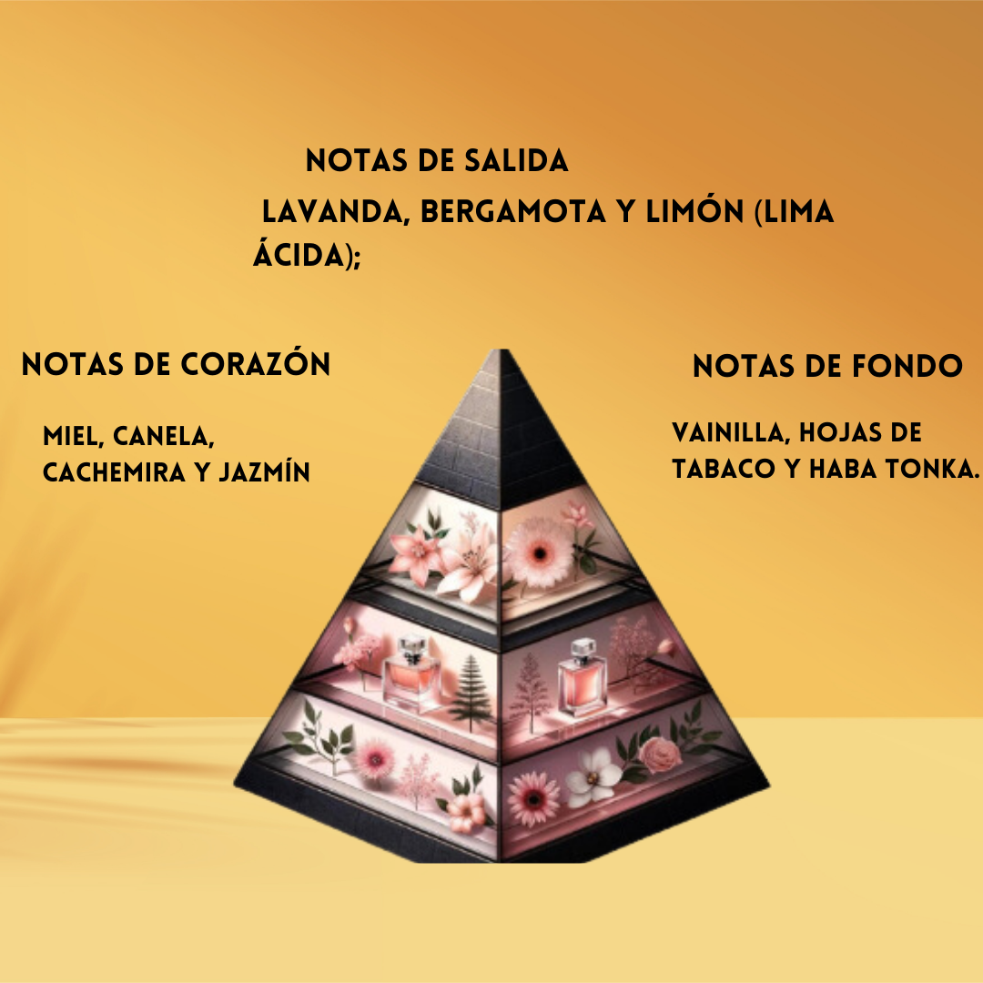 Rayhaan Italia – Eau de Parfum Hombre - Oriental Amaderado